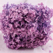 Preserved Large Hydrangea Flowers for Crafts and Arrangements – Bulk Quantity