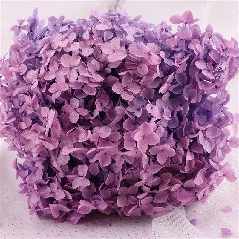 Preserved Large Hydrangea Flowers for Crafts and Arrangements – Bulk Quantity
