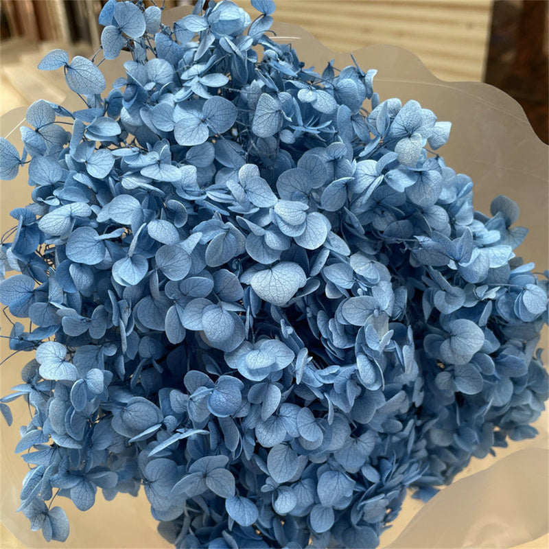 Preserved Large Hydrangea Flowers for Crafts and Arrangements – Bulk Quantity
