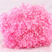 Preserved Large Hydrangea Flowers for Crafts and Arrangements – Bulk Quantity