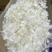 Preserved Large Hydrangea Flowers for Crafts and Arrangements – Bulk Quantity