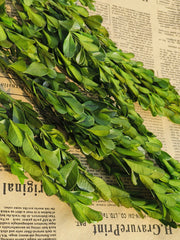 Preserved Boxwood Stems for Crafts Bulk Quantity Artificial Greenery