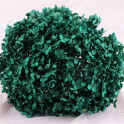Preserved Large Hydrangea Flowers for Crafts and Arrangements – Bulk Quantity