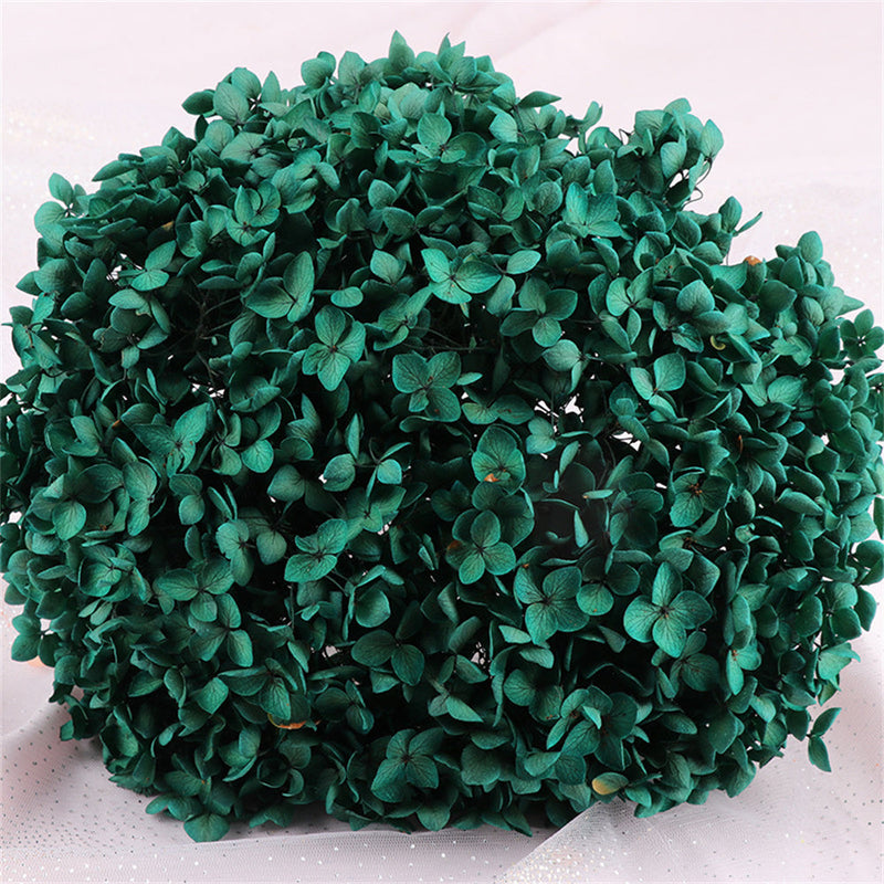 Preserved Large Hydrangea Flowers for Crafts and Arrangements – Bulk Quantity