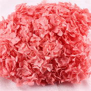 Preserved Large Hydrangea Flowers for Crafts and Arrangements – Bulk Quantity