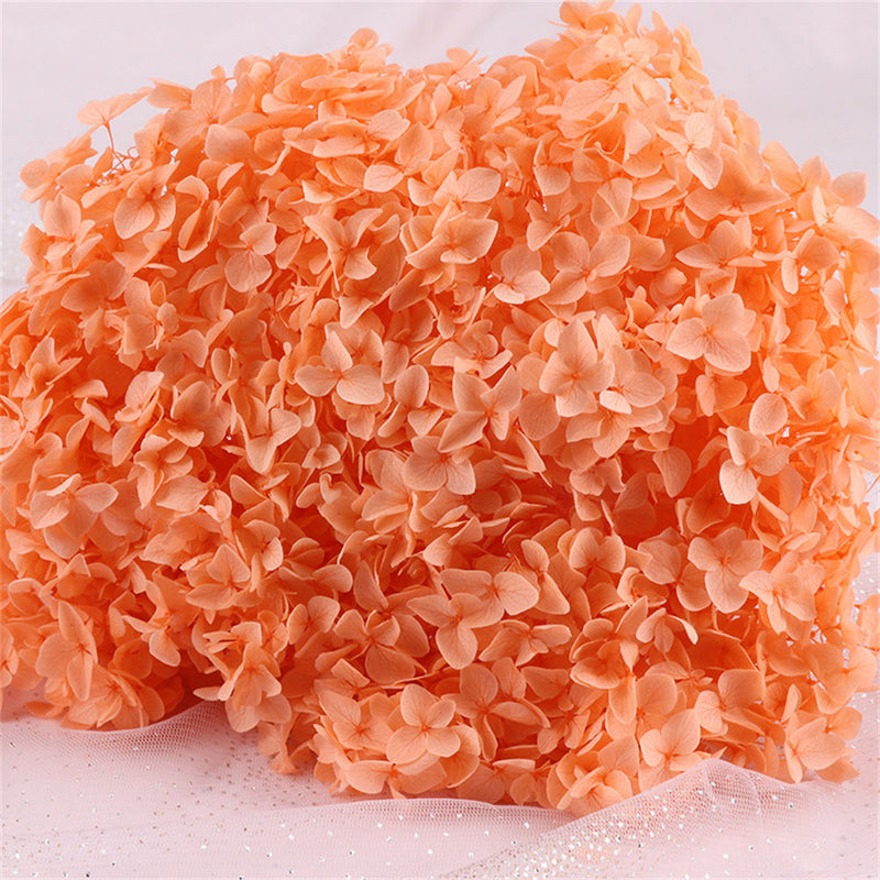 Preserved Large Hydrangea Flowers for Crafts and Arrangements – Bulk Quantity
