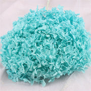Preserved Large Hydrangea Flowers for Crafts and Arrangements – Bulk Quantity