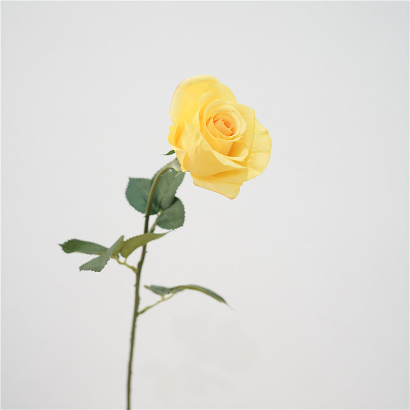 26 Inch Princess Diana Rose Stem 10 Pcs Real Touch Artificial Flowers Bulk Wholesale