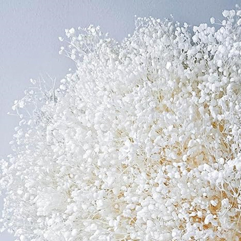 1 Bundle Dried Baby's Breath Gypsy Flowers, Natural Color, Wedding Floral Arrangement, Home Party Decor