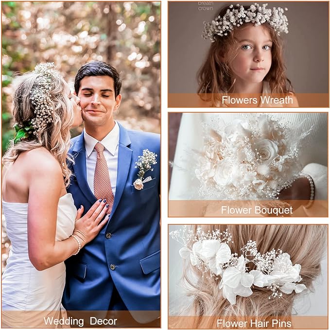 1 Bundle Dried Baby's Breath Gypsy Flowers, Natural Color, Wedding Floral Arrangement, Home Party Decor
