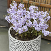 8 Pcs Artificial Hyacinth Bush Flowers UV Resistant Outdoor Silk Plants Bulk