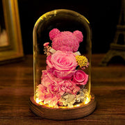 Preserved Rose Moss Bear with LED Light Bulk Gift Set Artificial Flowers
