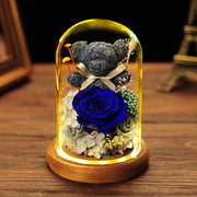 Preserved Rose Moss Bear with LED Light Bulk Gift Set Artificial Flowers