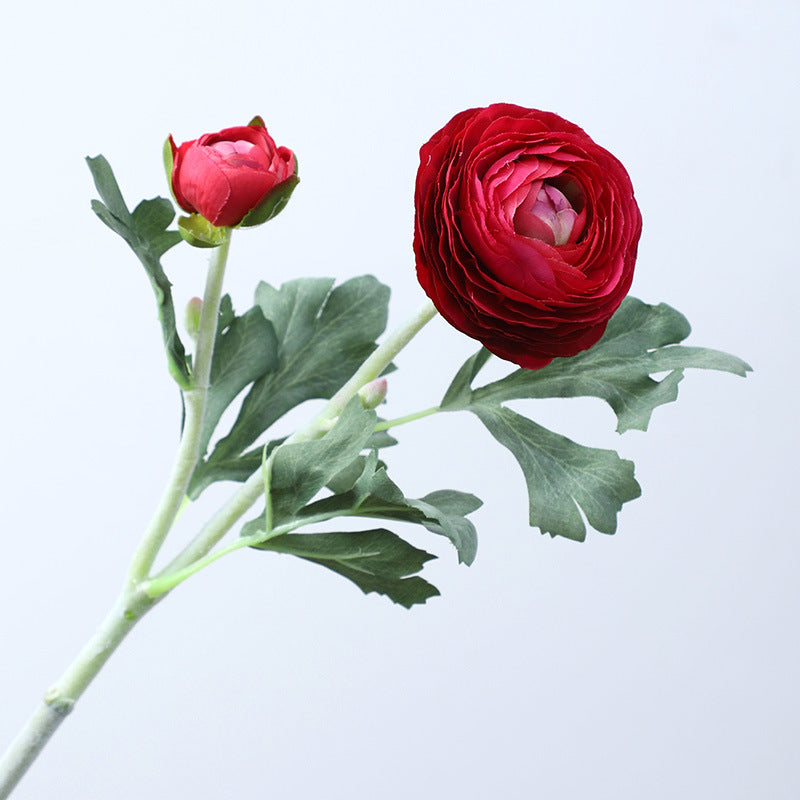 19 Inch Persian Buttercup Ranunculus Flowers, 10 Pcs Artificial Silk with Real Touch Stems