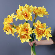 Real Touch Amaryllis Stem Artificial Flower 12 Inch Spring Bloom 1 Pc