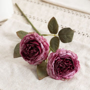 Realistic Silk Austin Roses Burnt Edge Artificial Flowers 12 Inch 10 Pcs for Wedding Arch Home Decoration Table Arrangements