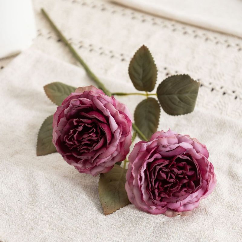 Realistic Silk Austin Roses Burnt Edge Artificial Flowers 12 Inch 10 Pcs for Wedding Arch Home Decoration Table Arrangements