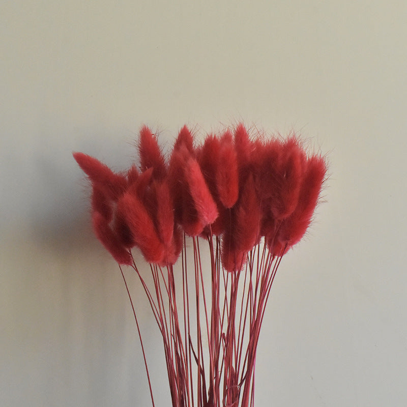 50 Pcs Natural Bunny Tails Dried Flowers, Soft Beige, 4-6 Inch Stems for Wedding, Baby Shower, Boho, Fall Decor