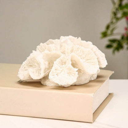 Commercial Venue Resin Artificial Coral Decor – For Retail Space Styling & Event Installations