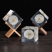 Resin Dandelion Preserved Flowers 10 Pcs Tabletop Ornaments Holiday Decor