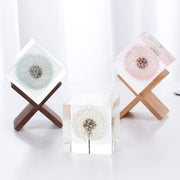 Resin Dandelion Preserved Flowers 10 Pcs Tabletop Ornaments Holiday Decor