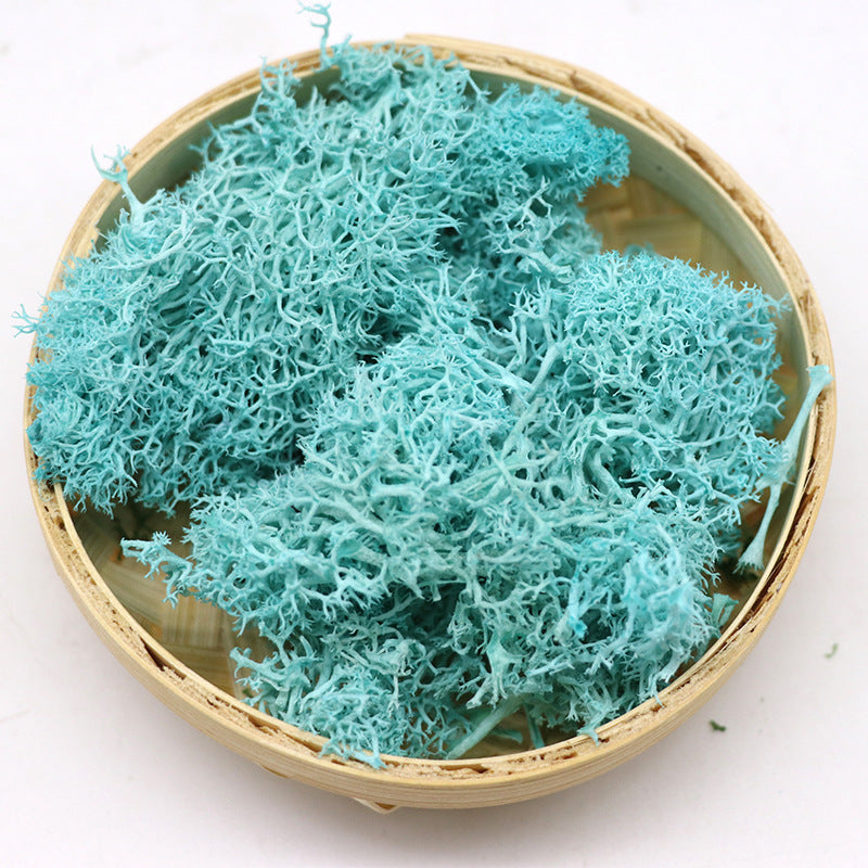 1.7 Ounce Preserved Moss for Crafts Vase Filler Table Centerpieces Fairy Garden Wedding Decor Bulk Quantity