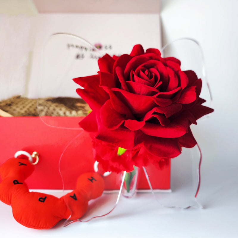 Romantic Rose and Carnation Artificial Flower Arrangement in Butterfly Vase for Mother's Day Gift