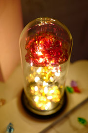 Artificial Silk Carnation Flowers with LED Light in Gift Box, Colorful Mother's Day Decoration