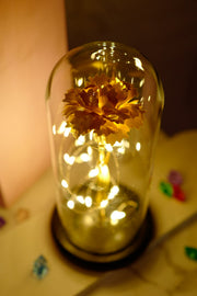 Artificial Silk Carnation Flowers with LED Light in Gift Box, Colorful Mother's Day Decoration