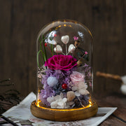 Preserved Rose in Glass Dome 1 Pc Forever Real Rose Birthday Gift for Women