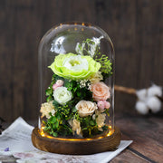 Preserved Rose in Glass Dome 1 Pc Forever Real Rose Birthday Gift for Women