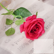 Fuchsia Pink Silk Artificial Flowers Bulk Collection for Decor, Multiple Stems
