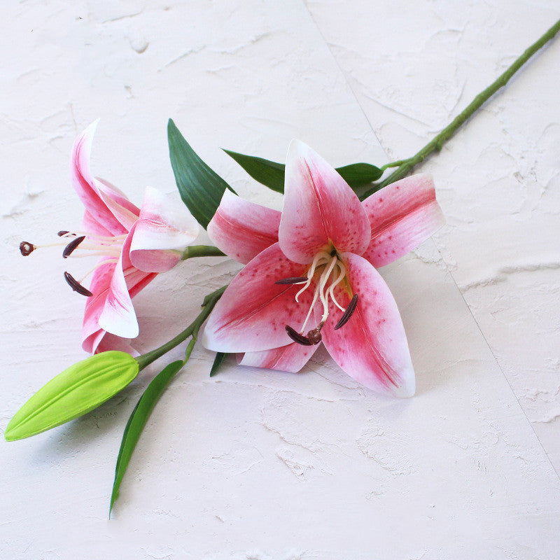 Fuchsia Pink Silk Artificial Flowers Bulk Collection for Decor, Multiple Stems