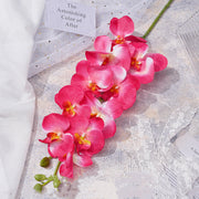 Fuchsia Pink Silk Artificial Flowers Bulk Collection for Decor, Multiple Stems