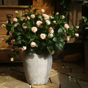 31 Inch Silk Rose Spray Stems Bulk 10 Pcs Artificial Spring Flowers for Floral Arrangements