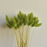 50 Pcs Natural Bunny Tails Dried Flowers, Soft Beige, 4-6 Inch Stems for Wedding, Baby Shower, Boho, Fall Decor