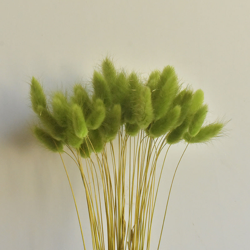 50 Pcs Natural Bunny Tails Dried Flowers, Soft Beige, 4-6 Inch Stems for Wedding, Baby Shower, Boho, Fall Decor