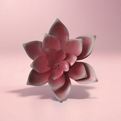 10.6 Inch Artificial Succulent Wall Decor - 3D Hanging Plant Arrangement for Home, Living Room & Office Decoration