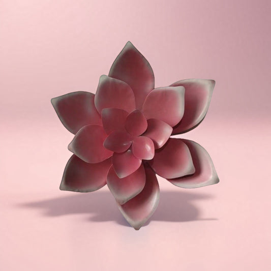 10.6 Inch Artificial Succulent Wall Decor - 3D Hanging Plant Arrangement for Home, Living Room & Office Decoration