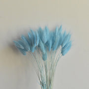 50 Pcs Natural Bunny Tails Dried Flowers, Soft Beige, 4-6 Inch Stems for Wedding, Baby Shower, Boho, Fall Decor