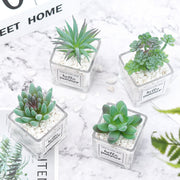 Mini Artificial Succulent Plants 12 Pcs in Transparent Glass Pots with Pebbles, Bulk Wholesale
