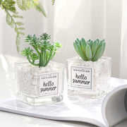 Mini Artificial Succulent Plants 12 Pcs in Transparent Glass Pots with Pebbles, Bulk Wholesale