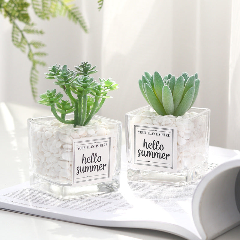Mini Artificial Succulent Plants 12 Pcs in Transparent Glass Pots with Pebbles, Bulk Wholesale