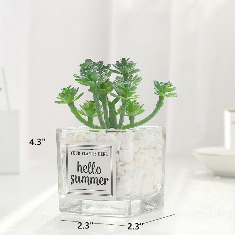 Mini Artificial Succulent Plants 12 Pcs in Transparent Glass Pots with Pebbles, Bulk Wholesale