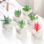 Mini Artificial Succulent Plants 12 Pcs in Transparent Glass Pots with Pebbles, Bulk Wholesale