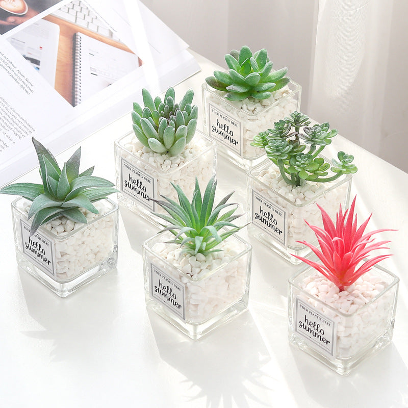 Mini Artificial Succulent Plants 12 Pcs in Transparent Glass Pots with Pebbles, Bulk Wholesale