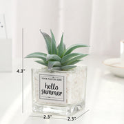 Mini Artificial Succulent Plants 12 Pcs in Transparent Glass Pots with Pebbles, Bulk Wholesale