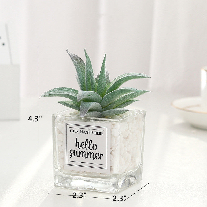 Mini Artificial Succulent Plants 12 Pcs in Transparent Glass Pots with Pebbles, Bulk Wholesale