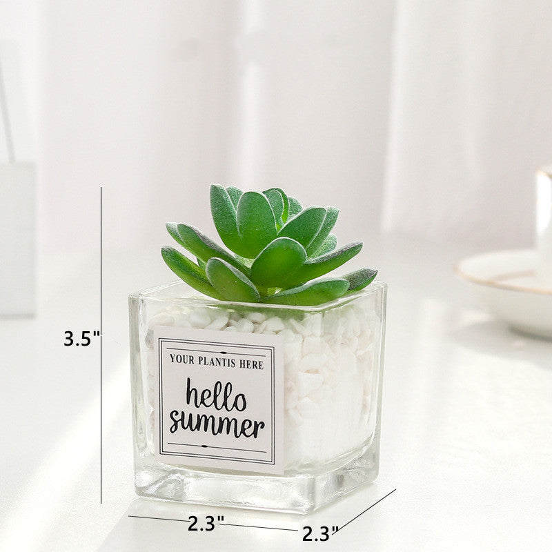 artificial succulent plants wholesale Mini Artificial Succulent Plants 12 Pcs in Transparent Glass Pots with — festwholesale