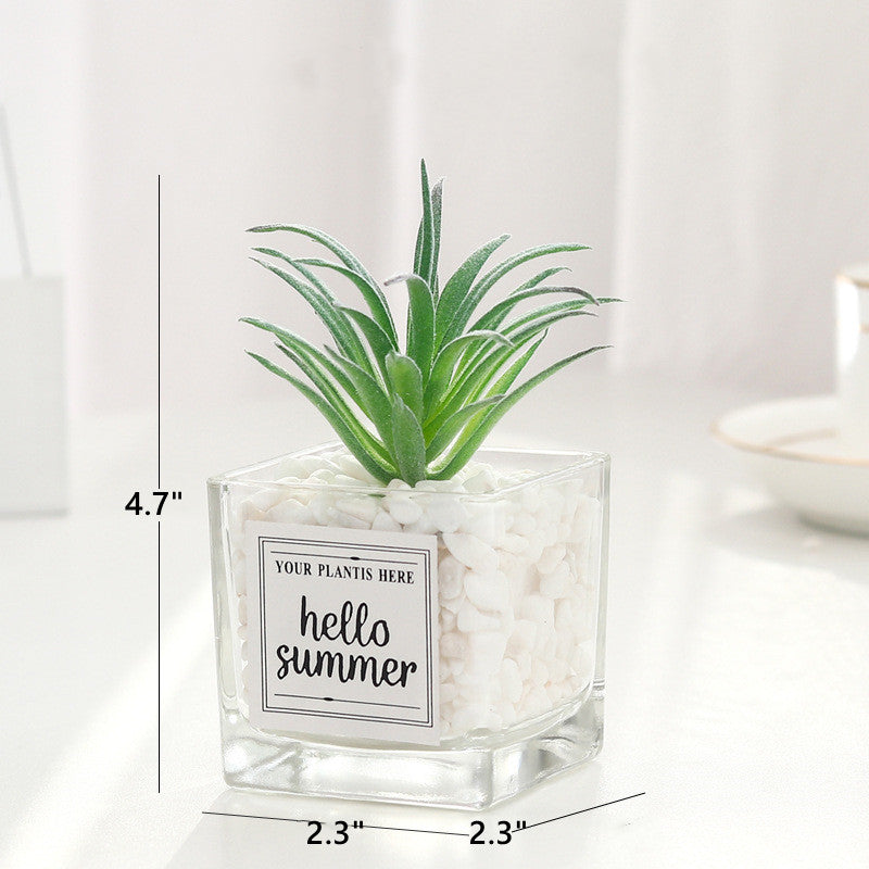 Mini Artificial Succulent Plants 12 Pcs in Transparent Glass Pots with Pebbles, Bulk Wholesale